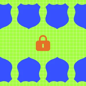 security data privacy compliance for professionals